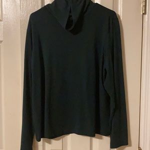 Coldwater Creek turtleneck